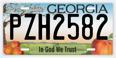 GA license plate PZH2582