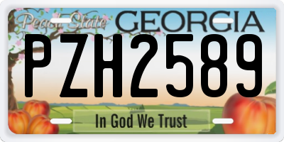 GA license plate PZH2589