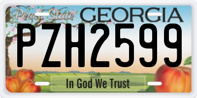GA license plate PZH2599