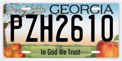GA license plate PZH2610