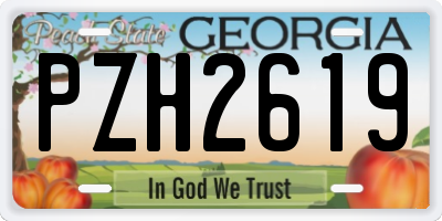 GA license plate PZH2619