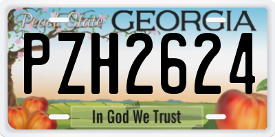 GA license plate PZH2624