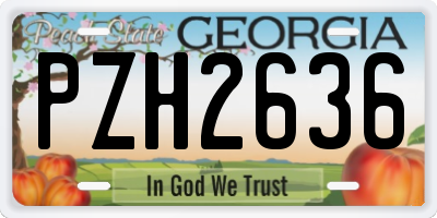 GA license plate PZH2636