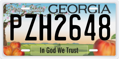 GA license plate PZH2648