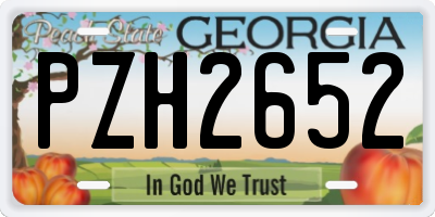 GA license plate PZH2652