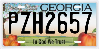 GA license plate PZH2657