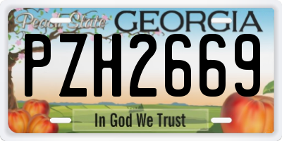 GA license plate PZH2669