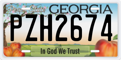 GA license plate PZH2674