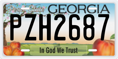 GA license plate PZH2687