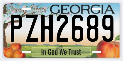 GA license plate PZH2689