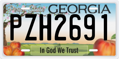 GA license plate PZH2691