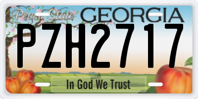 GA license plate PZH2717