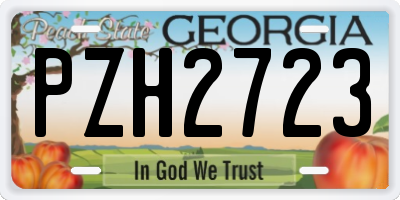GA license plate PZH2723