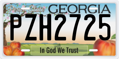 GA license plate PZH2725