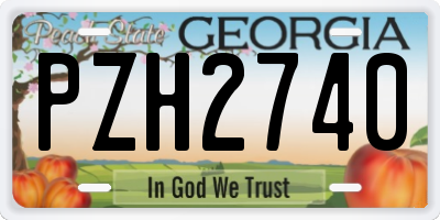 GA license plate PZH2740