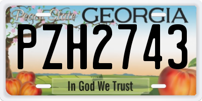 GA license plate PZH2743