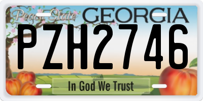 GA license plate PZH2746
