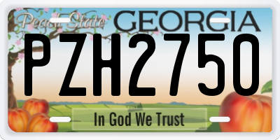GA license plate PZH2750