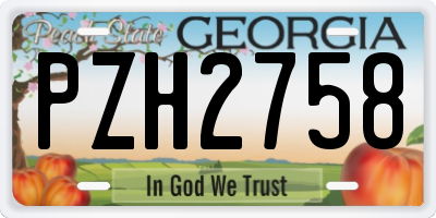GA license plate PZH2758