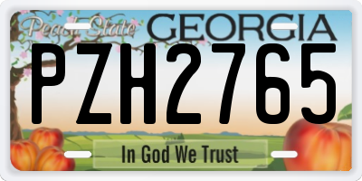 GA license plate PZH2765