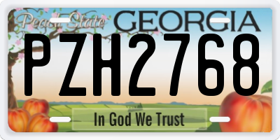 GA license plate PZH2768