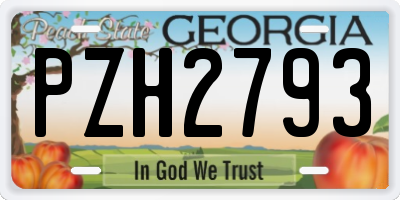 GA license plate PZH2793