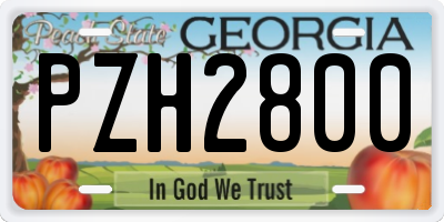 GA license plate PZH2800