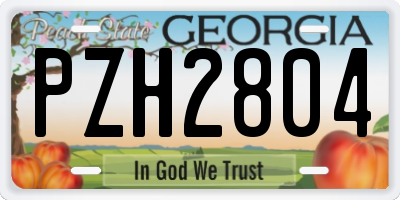 GA license plate PZH2804