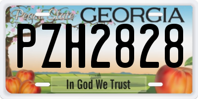GA license plate PZH2828