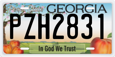GA license plate PZH2831