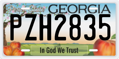GA license plate PZH2835