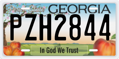 GA license plate PZH2844