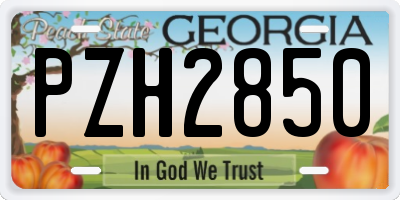 GA license plate PZH2850