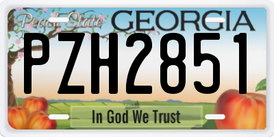 GA license plate PZH2851