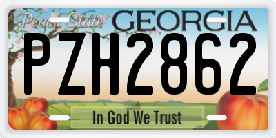 GA license plate PZH2862