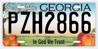 GA license plate PZH2866