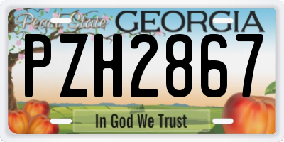 GA license plate PZH2867