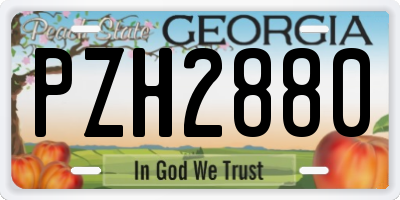 GA license plate PZH2880