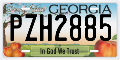 GA license plate PZH2885