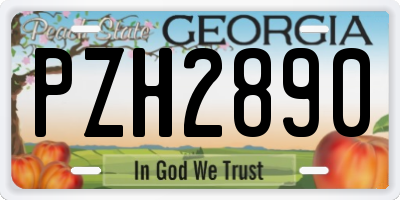 GA license plate PZH2890