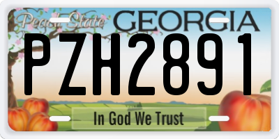 GA license plate PZH2891