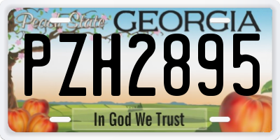 GA license plate PZH2895