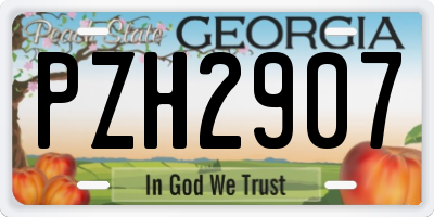 GA license plate PZH2907