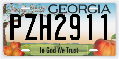 GA license plate PZH2911