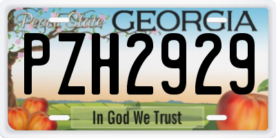 GA license plate PZH2929