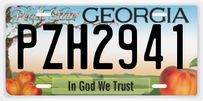 GA license plate PZH2941
