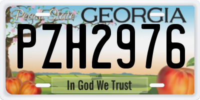 GA license plate PZH2976