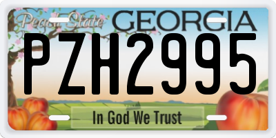 GA license plate PZH2995