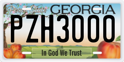 GA license plate PZH3000