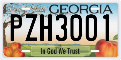 GA license plate PZH3001